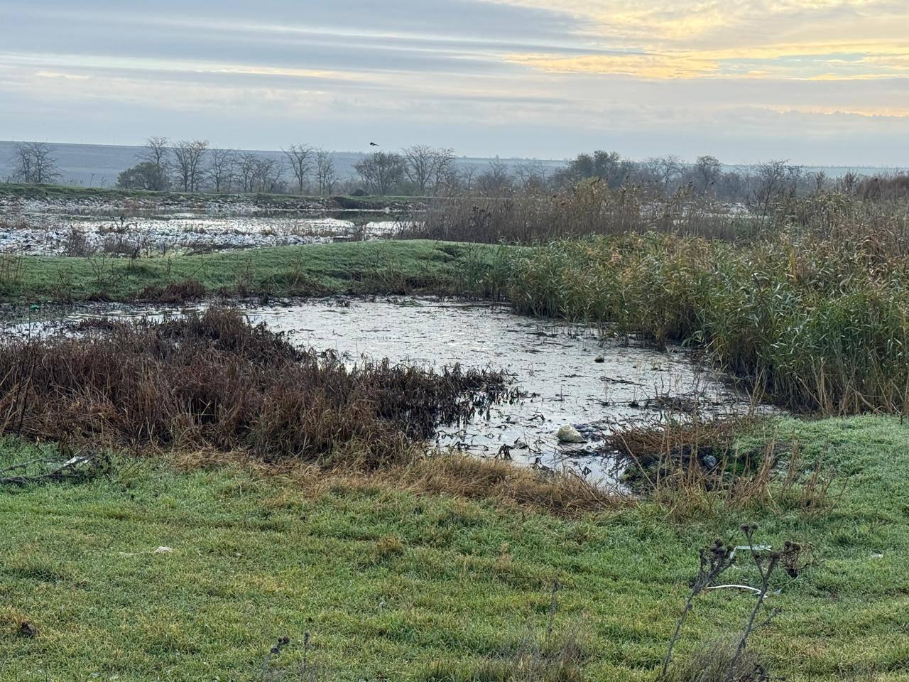 Масштабне забруднення земель каналізаційними стоками виявили на Одещині Масштабне забруднення земель каналізаційними стоками виявили на Одещині