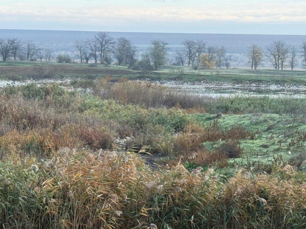 Масштабне забруднення земель каналізаційними стоками виявили на Одещині Масштабне забруднення земель каналізаційними стоками виявили на Одещині
