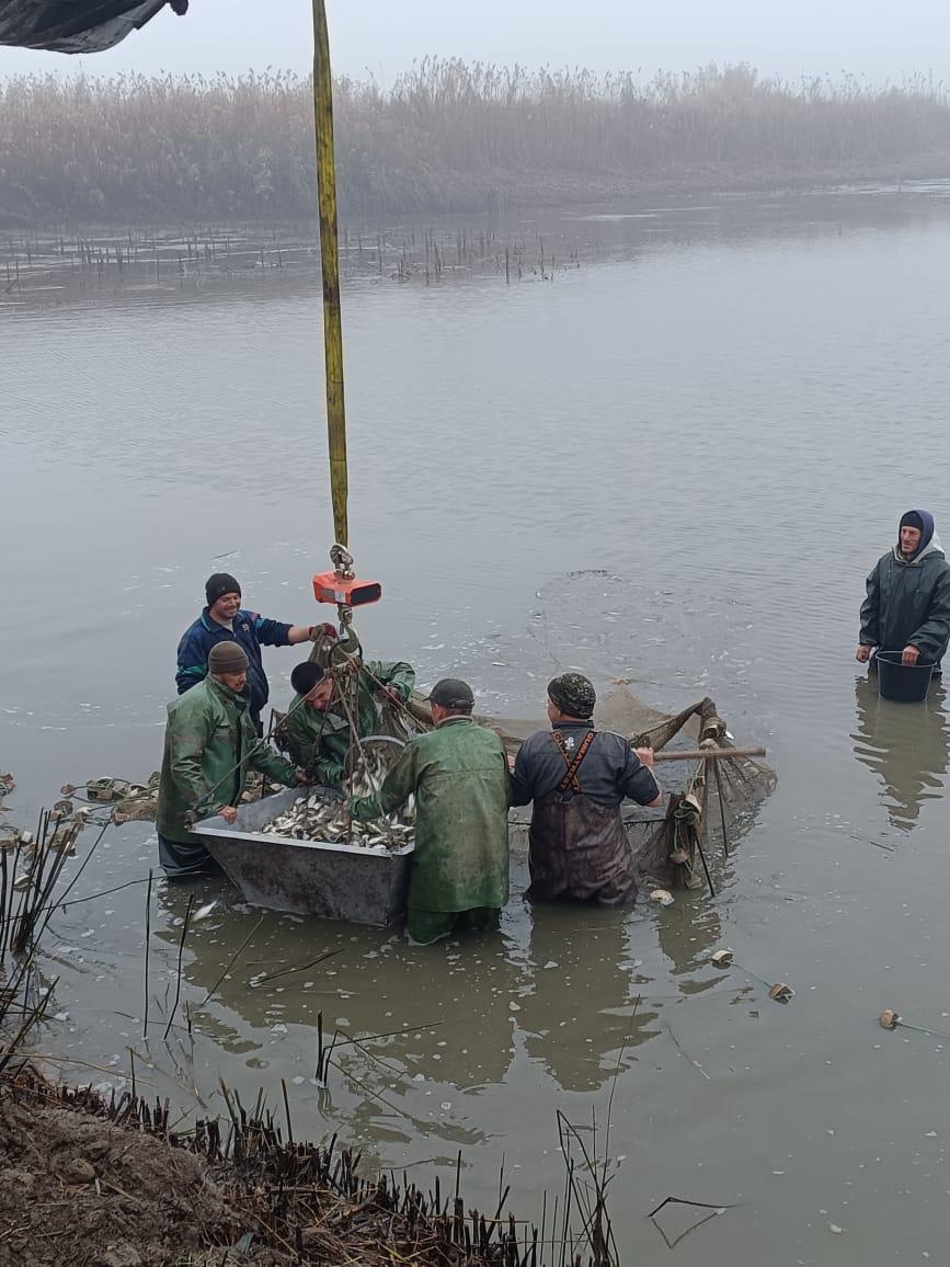 В Одесской области в Днестровский лиман выпустили молодь толстолоба, коропа и амура (фото) В Одесской области в Днестровский лиман выпустили молодь толстолоба, коропа и амура (фото)