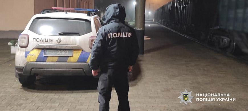 В Одесской области женщина погибла под поездом, пытаясь поймать козу