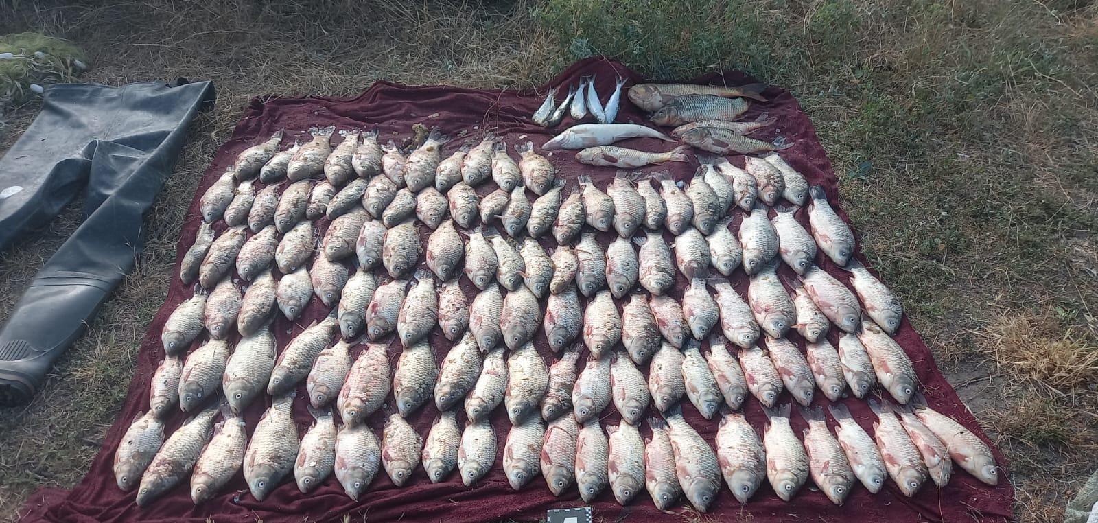 Ограничение свободы и взыскание четверти миллиона гривен: приговор за браконьерство на озере Сасык Ограничение свободы и взыскание четверти миллиона гривен: приговор за браконьерство на озере Сасык