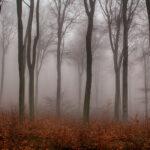 Надвигается холодный фронт: какой будет погода в Одессе и области 16 ноября