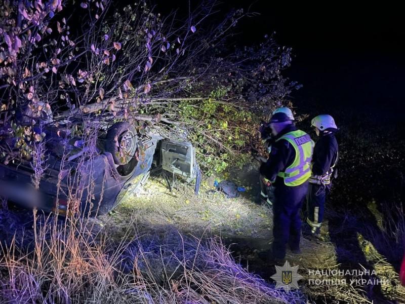 В Одесской области легковушка врезалась в дерево — водитель погиб