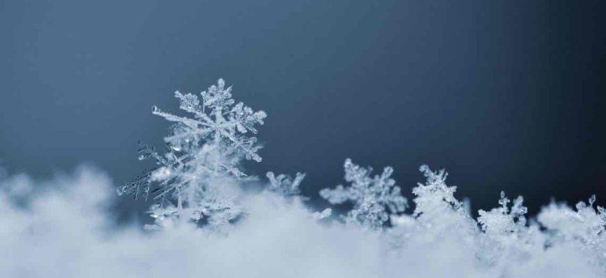 На севере Одесской области выпал мокрый снег – самые опасные участки дорог обрабатывают противогололедными материалами На севере Одесской области выпал мокрый снег – самые опасные участки дорог обрабатывают противогололедными материалами