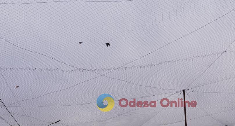 Щоденні обстріли, райони-привиди та занепад бізнесу: Херсон через три роки після визволення Щоденні обстріли, райони-привиди та занепад бізнесу: Херсон через три роки після визволення