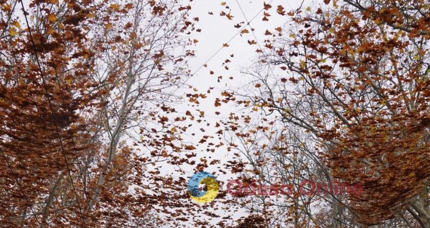 Щоденні обстріли, райони-привиди та занепад бізнесу: Херсон через три роки після визволення Щоденні обстріли, райони-привиди та занепад бізнесу: Херсон через три роки після визволення