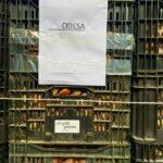 photo_2025-11-14_15-21-03 (2)