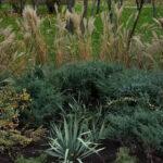 В Одессе «Горзелентрест» продолжает озеленение парка Победы