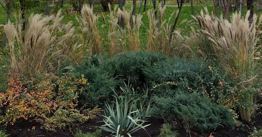 В Одессе «Горзелентрест» продолжает озеленение парка Победы