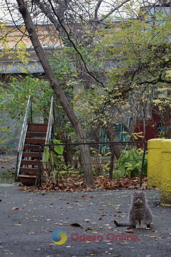 Пізня осінь в Одесі огортає дворики листям і дощем (фоторепортаж)