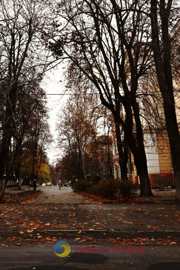 Пізня осінь в Одесі огортає дворики листям і дощем (фоторепортаж)