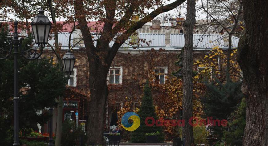 Какой будет погода в Одессе и области 24 ноября