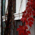 Фото недели: чем жила Одесса последние семь дней (фоторепортаж)