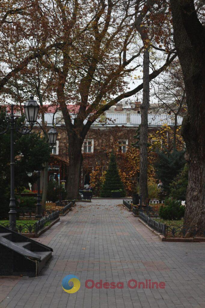 Пізня осінь в Одесі огортає дворики листям і дощем (фоторепортаж)