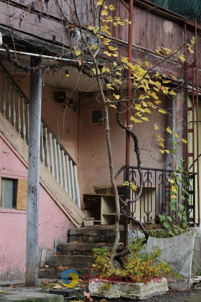 Пізня осінь в Одесі огортає дворики листям і дощем (фоторепортаж)