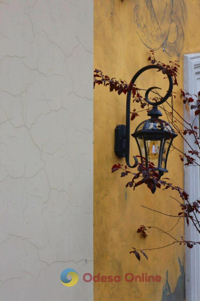 Пізня осінь в Одесі огортає дворики листям і дощем (фоторепортаж)