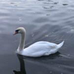 Фото недели: чем жила Одесса последние семь дней (фоторепортаж)