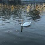 Фото недели: чем жила Одесса последние семь дней (фоторепортаж)