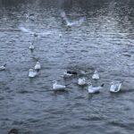 Фото недели: чем жила Одесса последние семь дней (фоторепортаж)