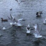 Фото недели: чем жила Одесса последние семь дней (фоторепортаж)