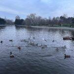 Фото недели: чем жила Одесса последние семь дней (фоторепортаж)