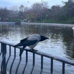 Фото недели: чем жила Одесса последние семь дней (фоторепортаж)