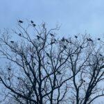 Фото недели: чем жила Одесса последние семь дней (фоторепортаж)