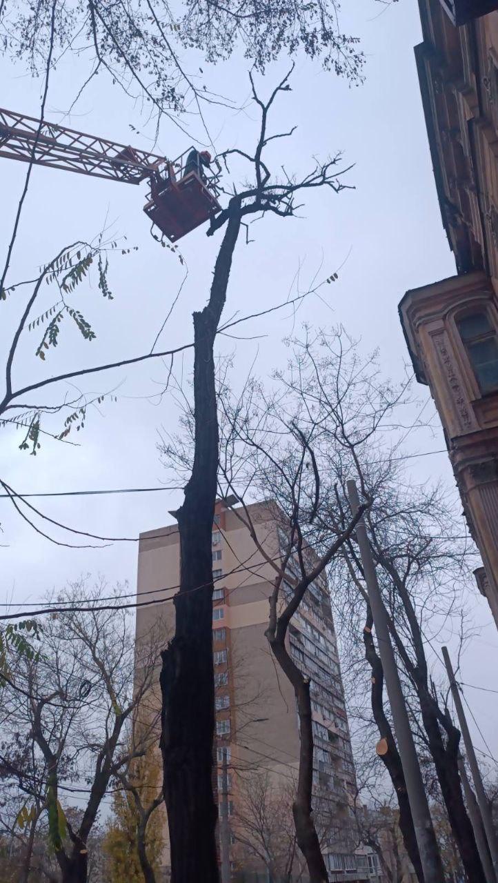 До уваги водіїв: в Одесі 25 та 26 листопада частково перекриватимуть вулицю Новосельського