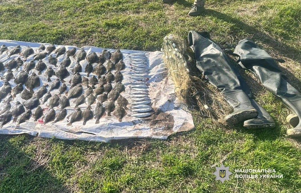 В заповедной зоне в Одесской области задержали браконьеров с уловом камбалы и кефали