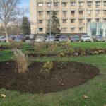 photo_2025-11-28_18-22-19 (3)