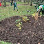 photo_2025-11-28_18-22-19 (4)