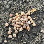 photo_2025-11-28_18-22-19 (5)