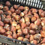 photo_2025-11-28_18-22-19 (8)