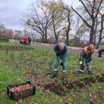 photo_2025-11-28_18-22-19 (9)