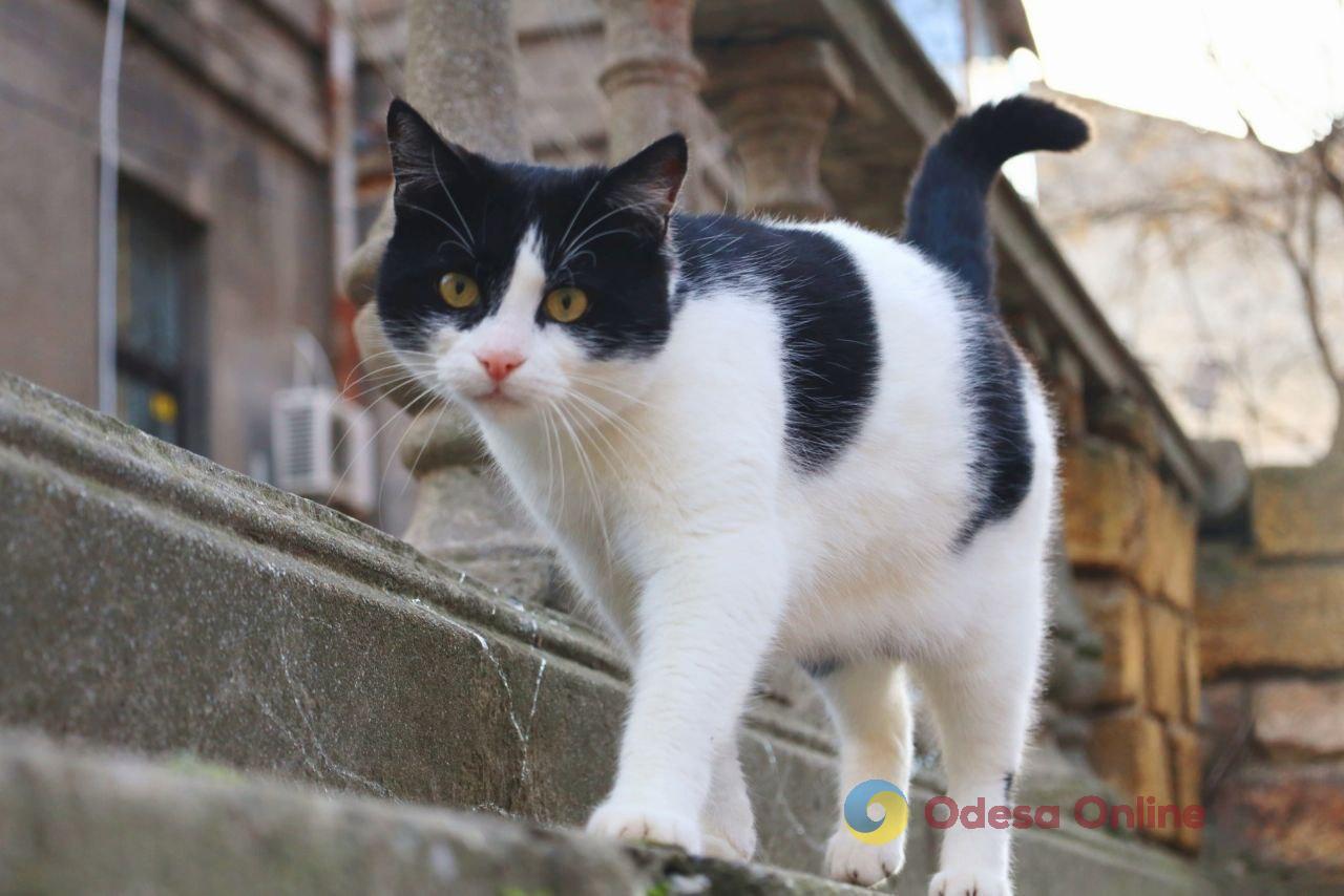 Одесса в деталях: портрет легендарного города у моря в последний день ноября
