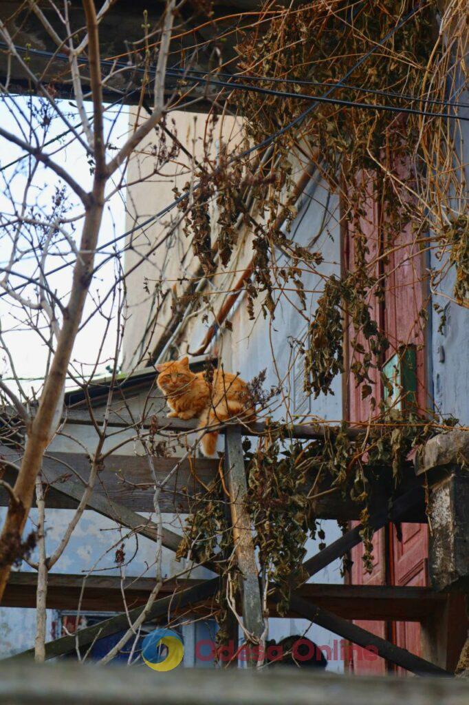 Одеса в деталях: портрет легендарного міста біля моря в останній день листопада