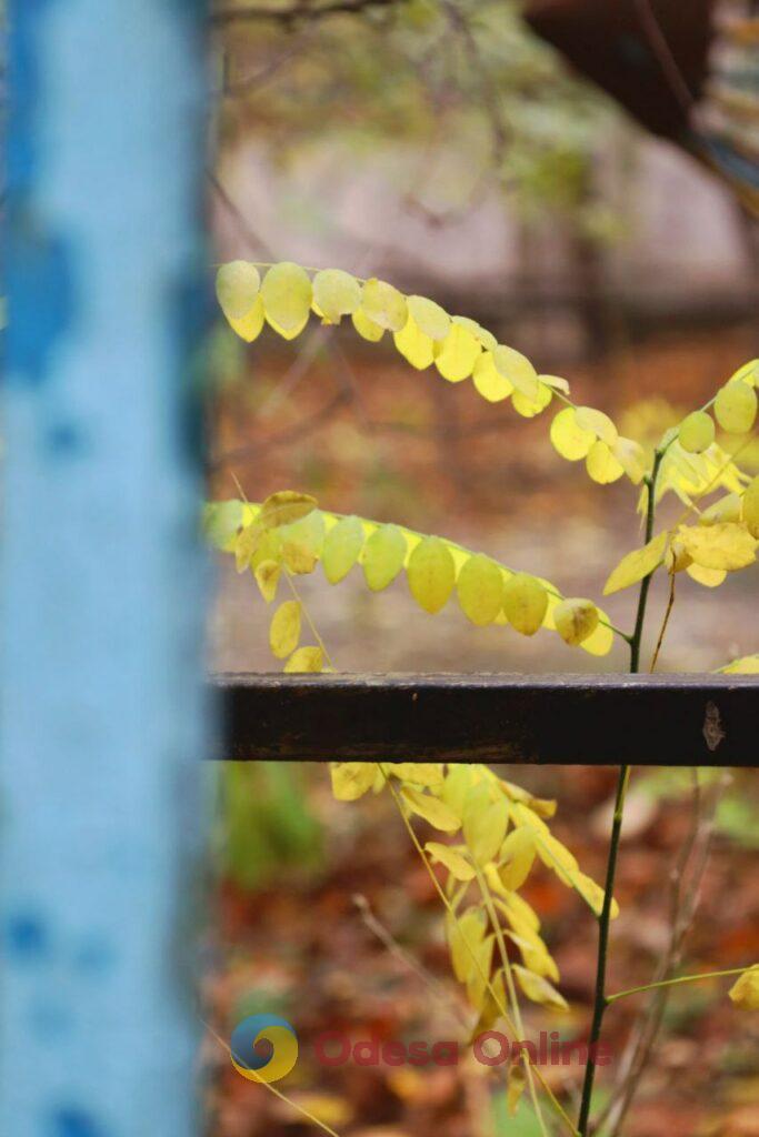 Одеса в деталях: портрет легендарного міста біля моря в останній день листопада