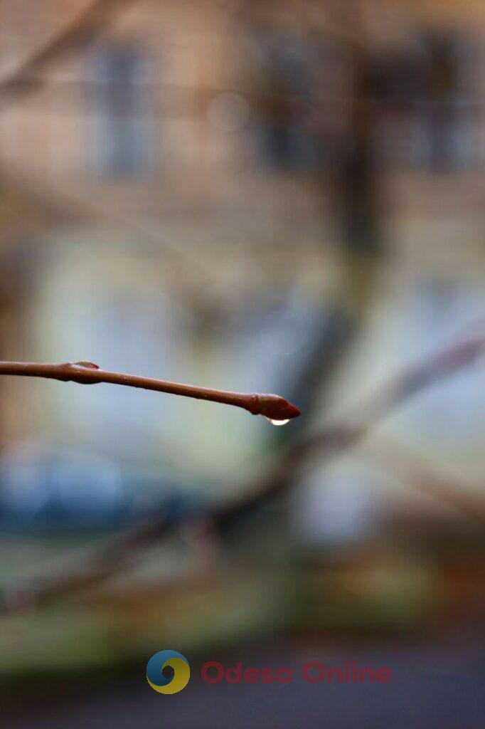 Одеса в деталях: портрет легендарного міста біля моря в останній день листопада