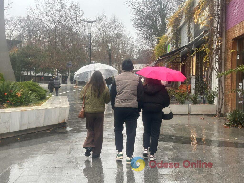 Одесса на пороге зимы: люди и животные в поисках тепла