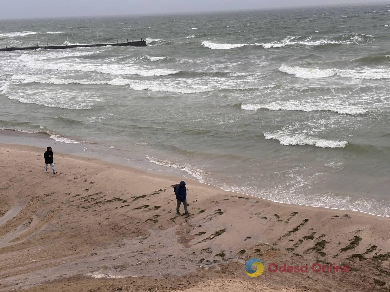 Одесса на пороге зимы: люди и животные в поисках тепла