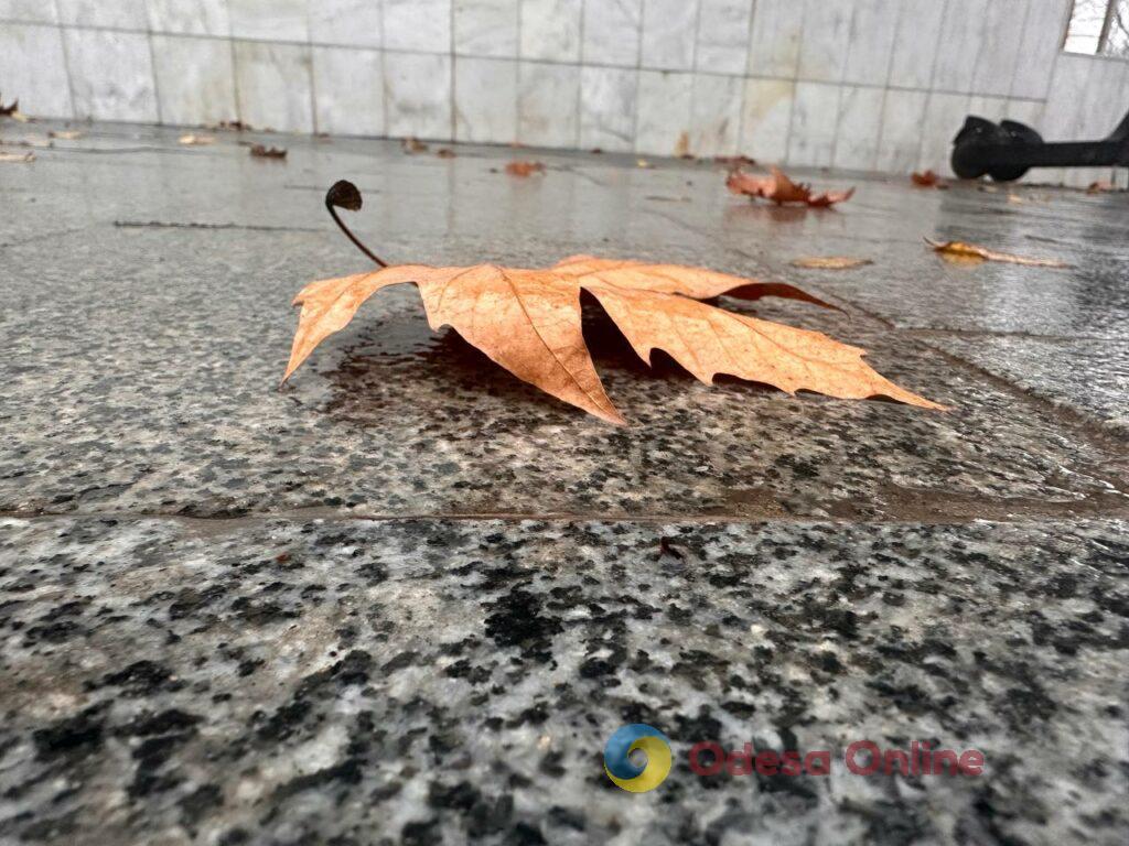 Одесса на пороге зимы: люди и животные в поисках тепла