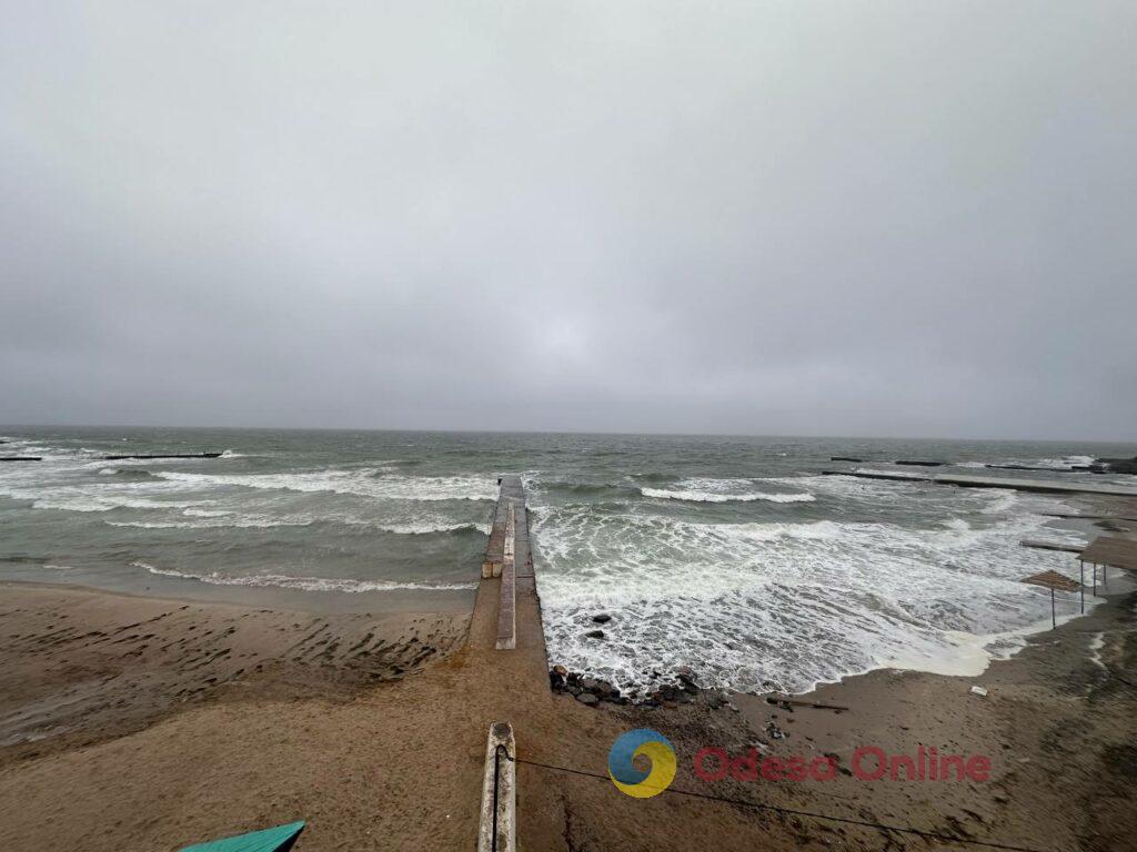 Одесса на пороге зимы: люди и животные в поисках тепла