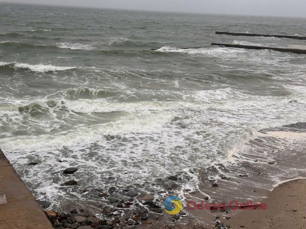 Одесса на пороге зимы: люди и животные в поисках тепла