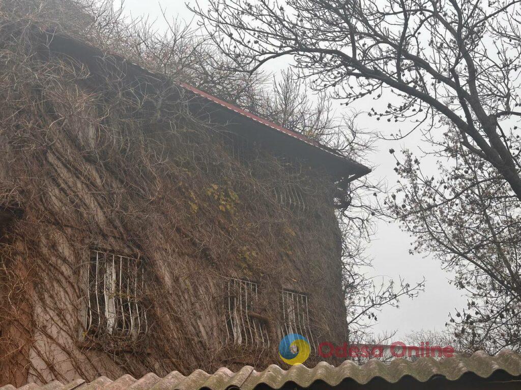 Одесса на пороге зимы: люди и животные в поисках тепла