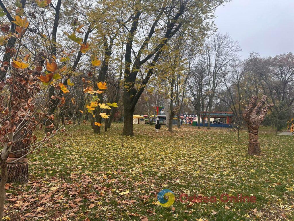 Одесса на пороге зимы: люди и животные в поисках тепла