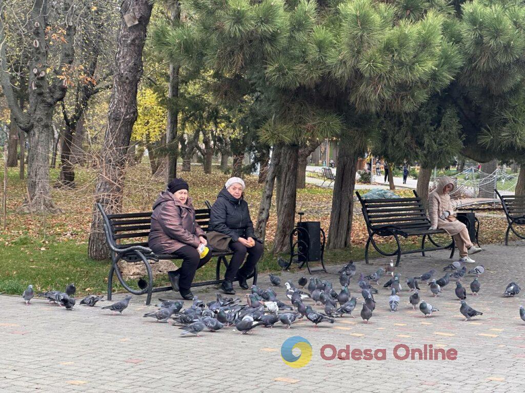 Одесса на пороге зимы: люди и животные в поисках тепла