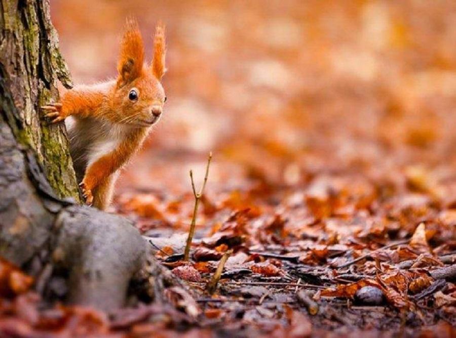 Хмарно, але без опадів: якою буде погода в Одесі та області 6 листопада Хмарно, але без опадів: якою буде погода в Одесі та області 6 листопада