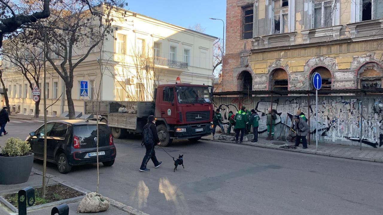 В Одессе на Канатной высаживают деревья В Одессе на Канатной высаживают деревья