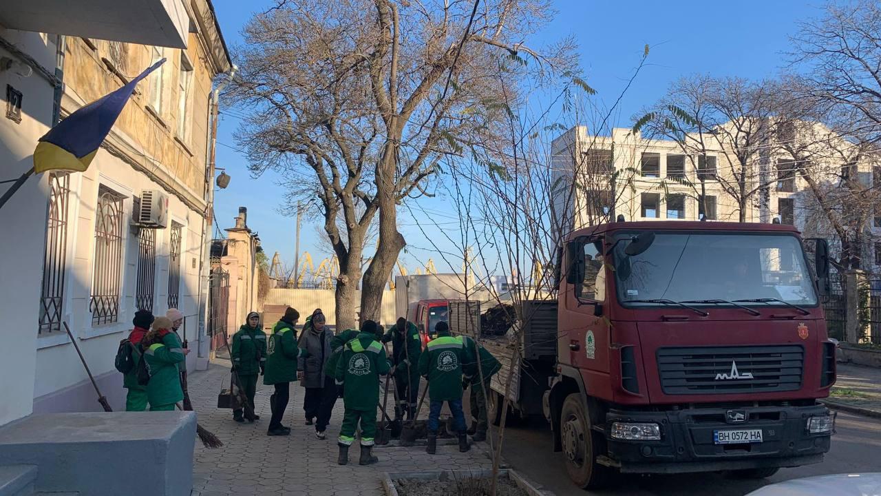 В Одессе на Канатной высаживают деревья В Одессе на Канатной высаживают деревья