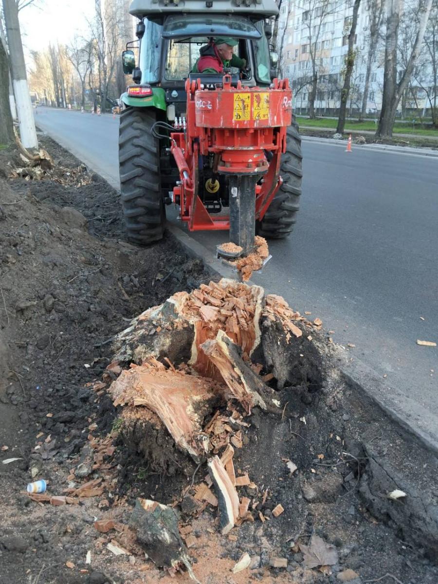 В Одессе на Канатной высаживают деревья В Одессе на Канатной высаживают деревья
